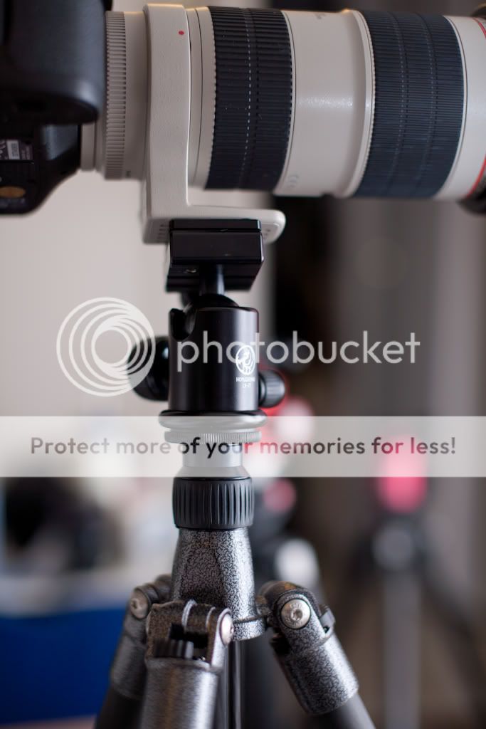 IMAGE: http://i765.photobucket.com/albums/xx291/themadmanazn/HorusBennu%20LX-2T/HorusBennuLX-2T-2.jpg