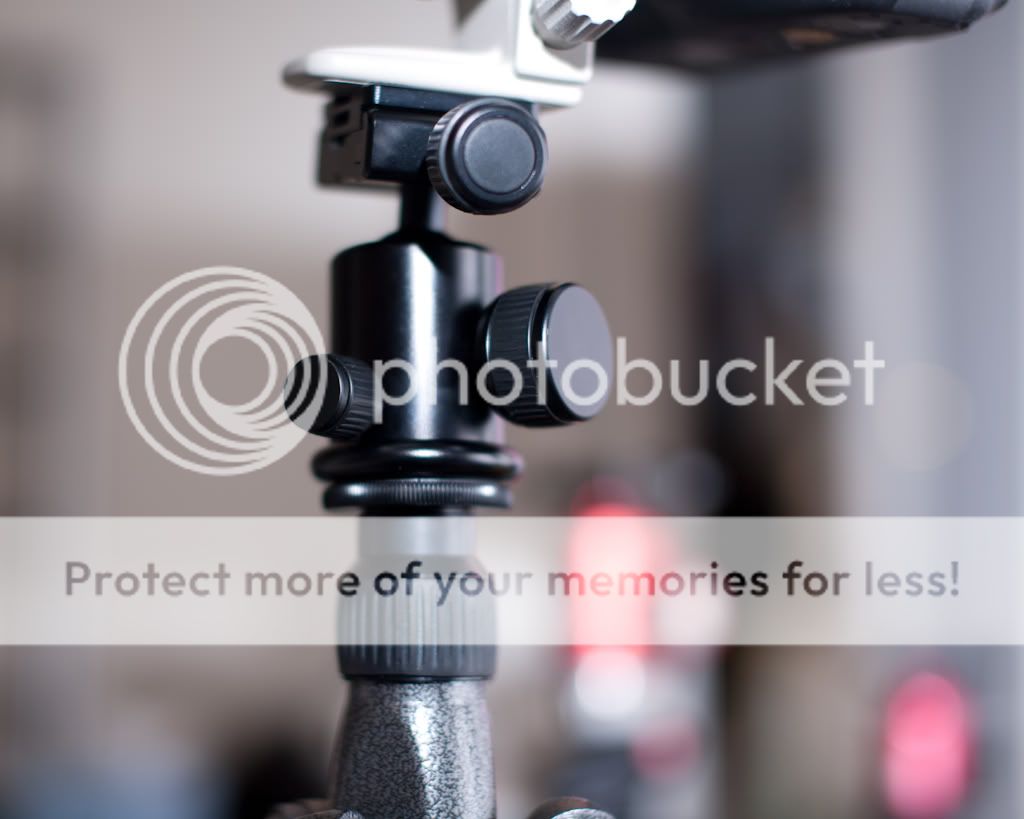 IMAGE: http://i765.photobucket.com/albums/xx291/themadmanazn/HorusBennu%20LX-2T/HorusBennuLX-2T-3.jpg