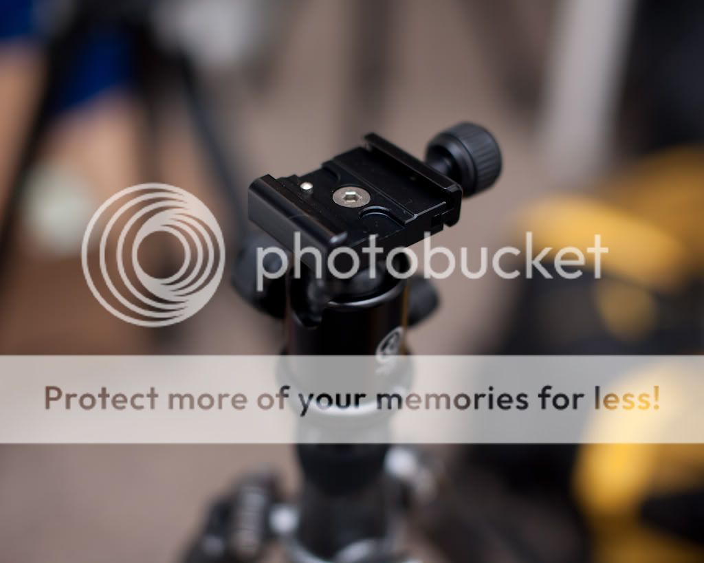 IMAGE: http://i765.photobucket.com/albums/xx291/themadmanazn/HorusBennu%20LX-2T/HorusBennuLX-2T-6.jpg