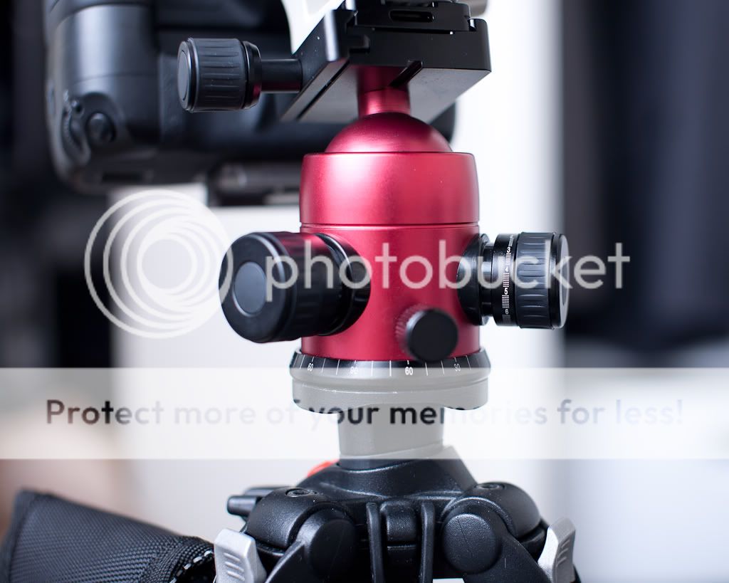 IMAGE: http://i765.photobucket.com/albums/xx291/themadmanazn/HorusBennu%20LX-5/HorusBennuLX-5-4.jpg