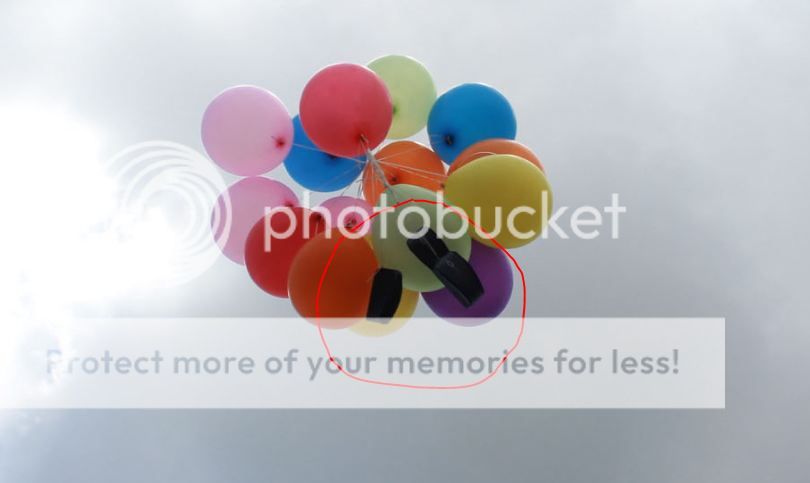 Thả cả đàn chuột lên trời  ?? - 1