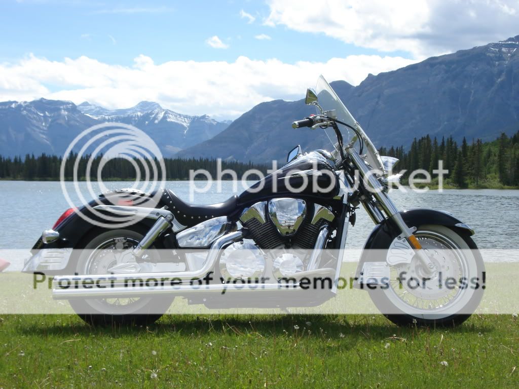 IMAGE: http://i765.photobucket.com/albums/xx294/7dKnight/potn/DSC01270.jpg