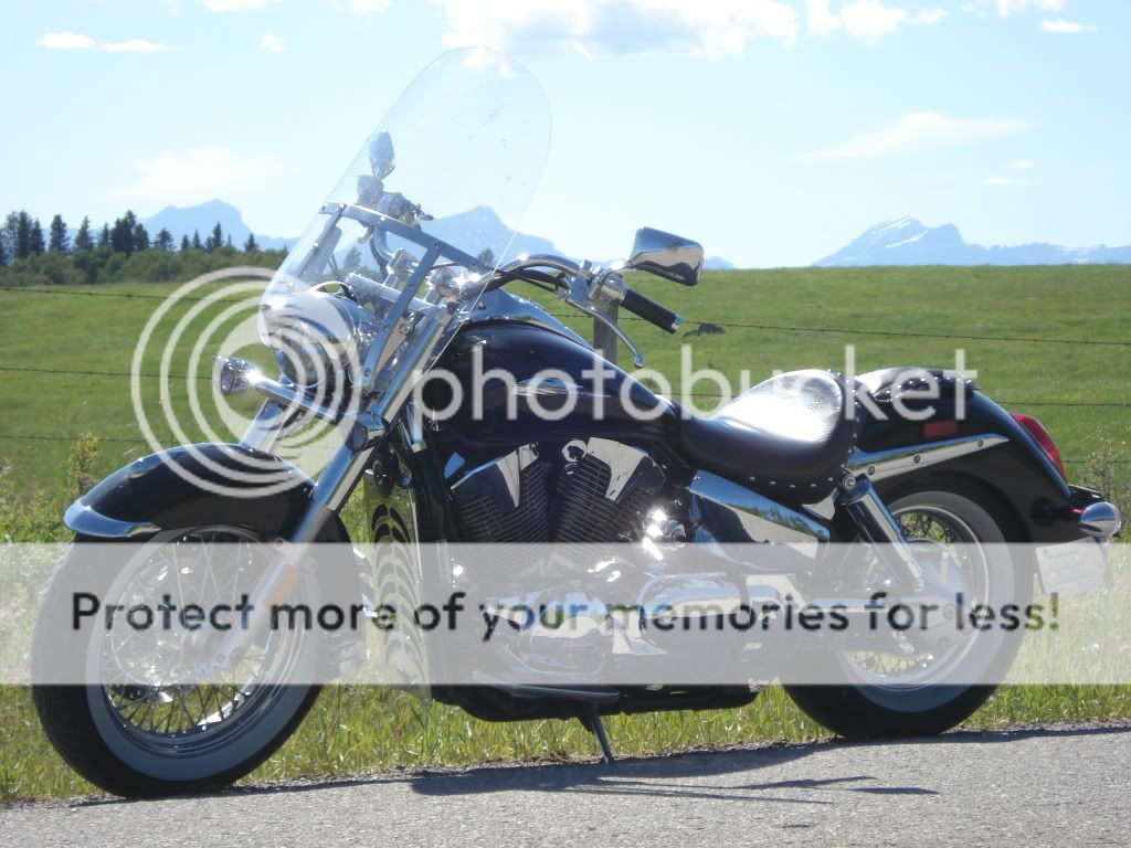 IMAGE: http://i765.photobucket.com/albums/xx294/7dKnight/potn/DSC01286.jpg