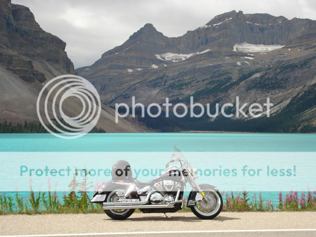 IMAGE: http://i765.photobucket.com/albums/xx294/7dKnight/potn/DSC01924.jpg