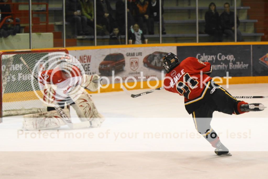 IMAGE: http://i765.photobucket.com/albums/xx294/7dKnight/potn/IMG_94111.jpg