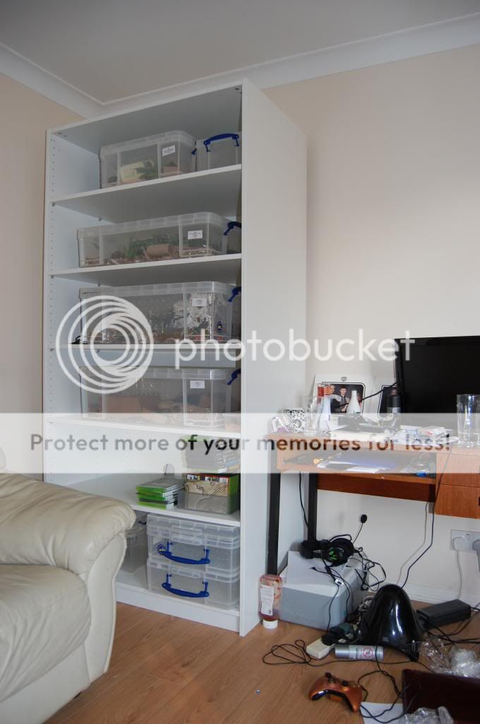 Another Ikea Snake Rack (Pic Heavy) Reptile Forums