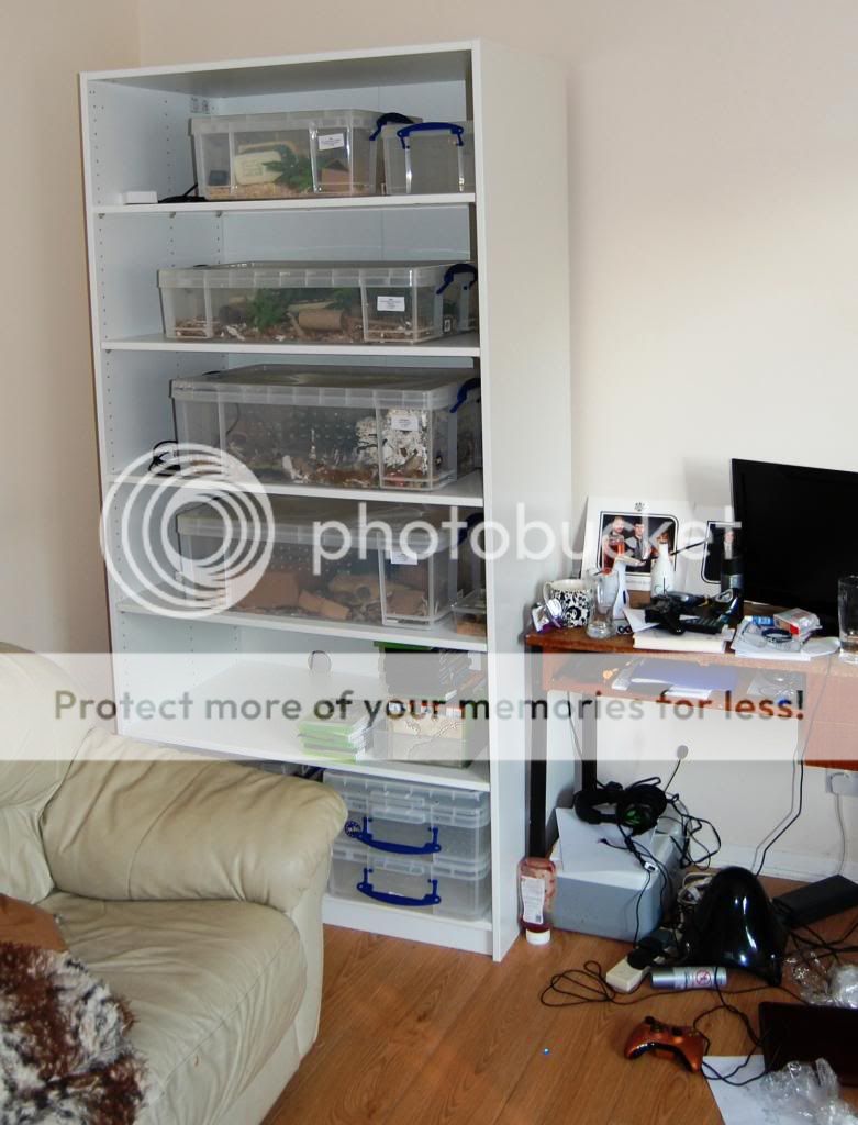 Another Ikea Snake Rack (Pic Heavy) Reptile Forums