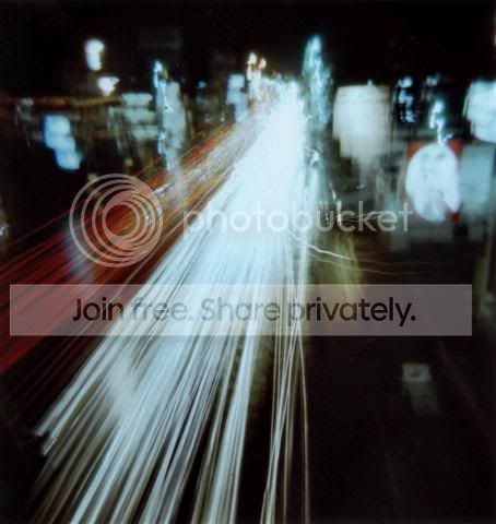 First Bulb Pictures, Images and Photos