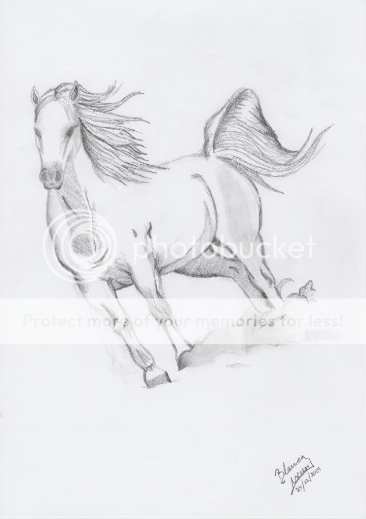 Mis dibujos de caballos
