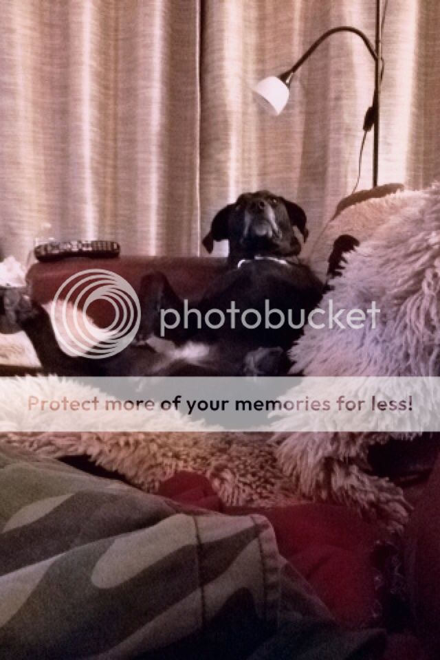image_zps8508d7b0.jpg