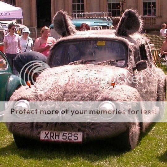 http://i765.photobucket.com/albums/xx297/etacarinae02/funny-mouse-car.jpg