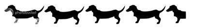 Kodi's Rating: Four and a half weenies!