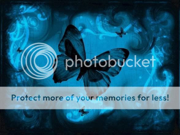 wallpaper blue butterfly. Blue Butterflies